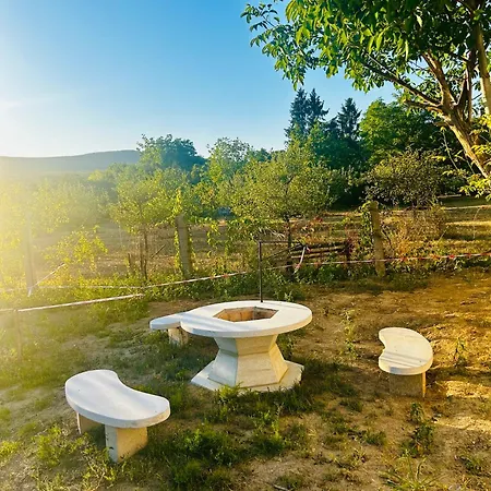 Guest house Pajkos Poni Elmenybirtok Vendeghaz 3*