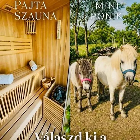 Guest house Pajkos Poni Elmenybirtok Vendeghaz 3*